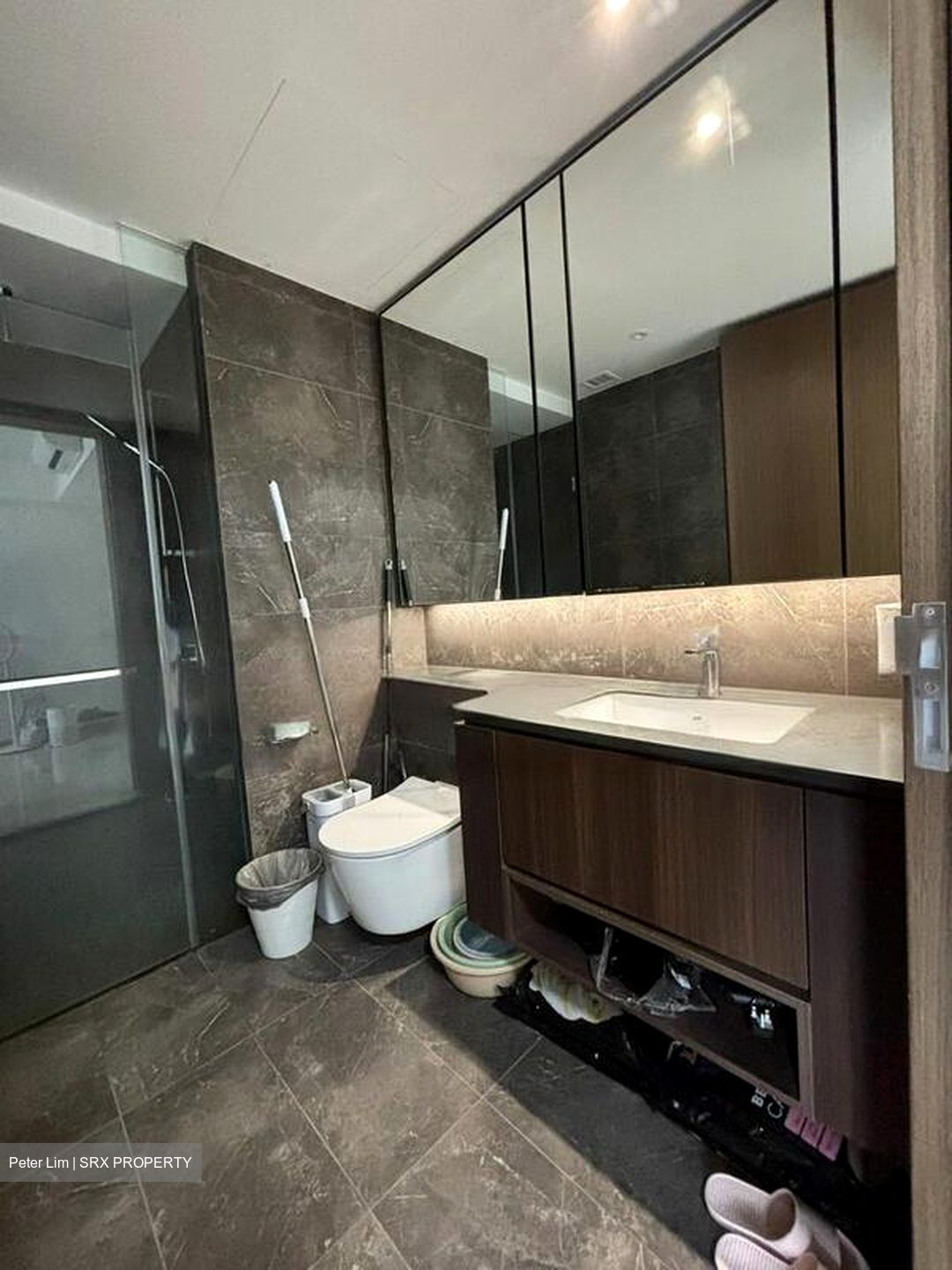 Kopar At Newton (D9), Apartment #458410021